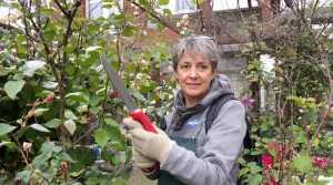 3 Gehölze, die Sie im März unbedingt schneiden müssen – sonst leidet die Blüte